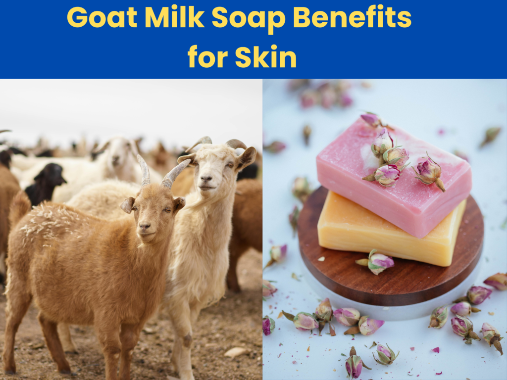 Goat Milk Soap Benefits for Skin